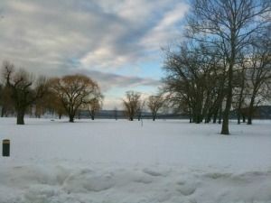 winter_trees_snow_300-300x225